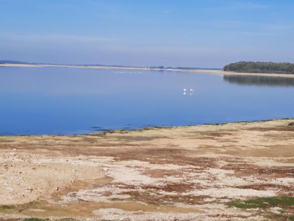 Chalé Marne Du Der Joli Au Charme Du Der Chatillon-sur-Broue